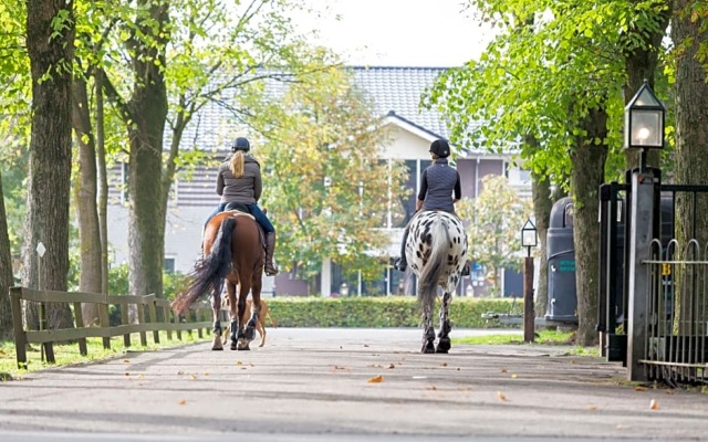 Human & Horse Hotel
