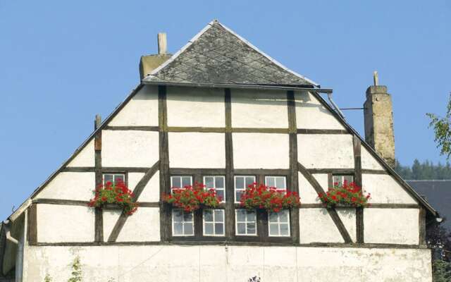 Cozy, Carefully Furnished Bungalow Near the Maas