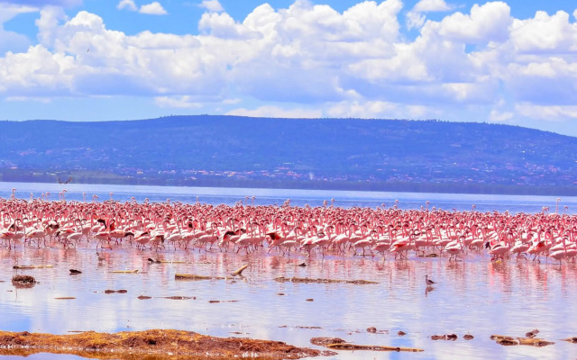 Lake Nakuru Lodge