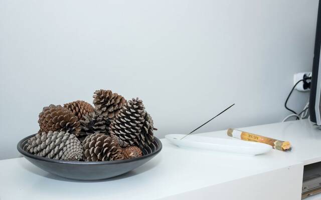 FM Luxury 1-BDR Apartment - Into the Woods