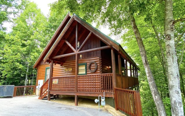 Cozy Bear 2 Bedroom Cabin