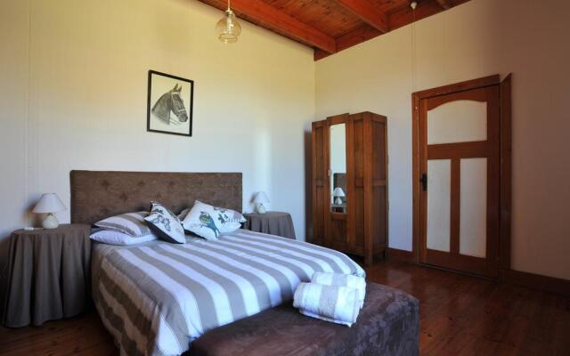 Paarl Diamant Equestrian And Guest Farm