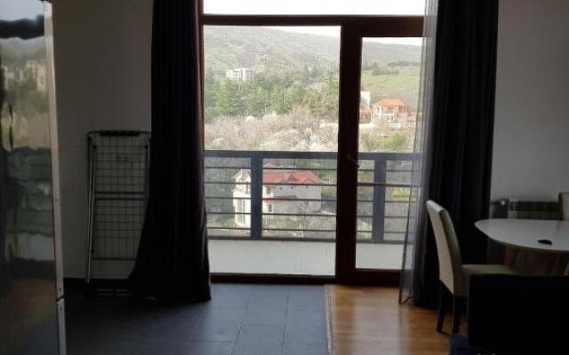 Pragmatic Luxury Krtsanisi 19 Top Floor