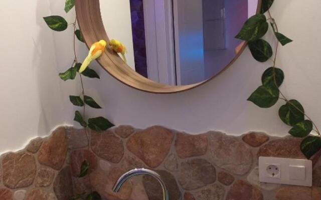 Wonder Paradisio Studio Nerja