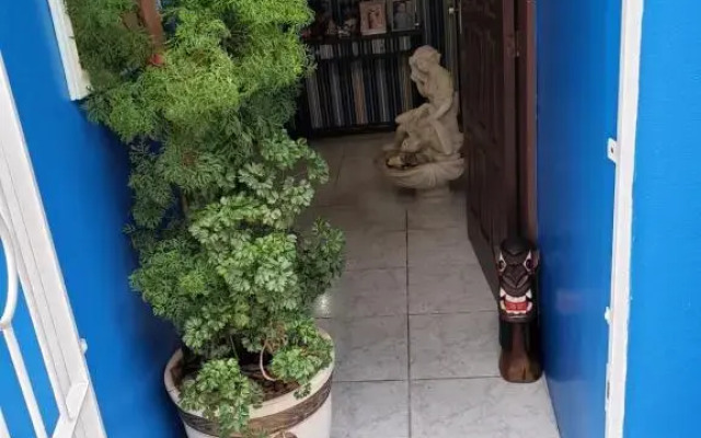 Casa Blue