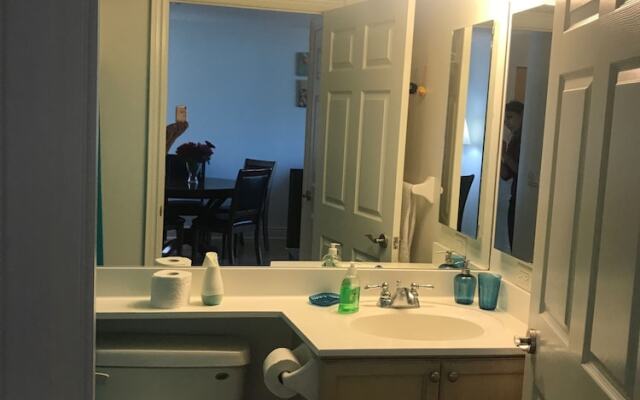 Kashaneh at Meridian (1+1 bedroom)