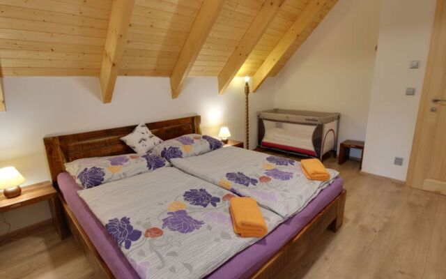 Apartment U Krále Kořenov
