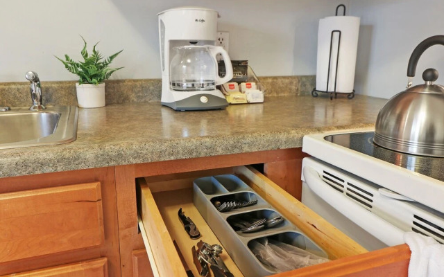 Lush 1BR Apt in Quiet Arlington Heights