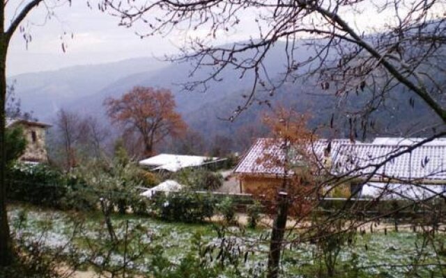 Colle Delle Ginestre