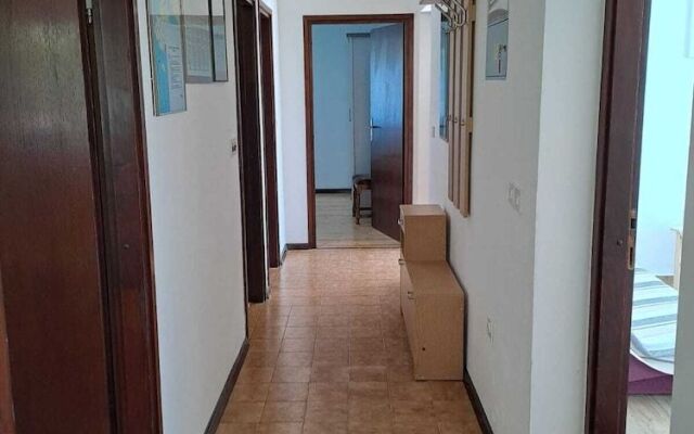 Apartments Berny