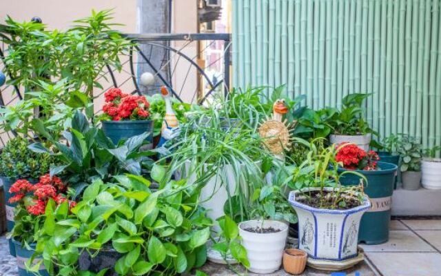 Huniu Villa (Jihu Beach Scenic Spot)