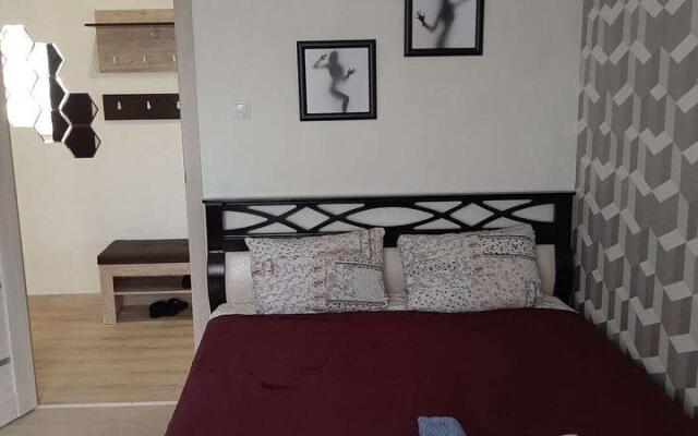 Apartments on Maxim Gorky street 52