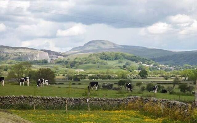 Penyghent View