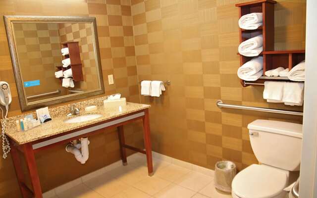 Hampton Inn Detroit/Auburn Hills-North