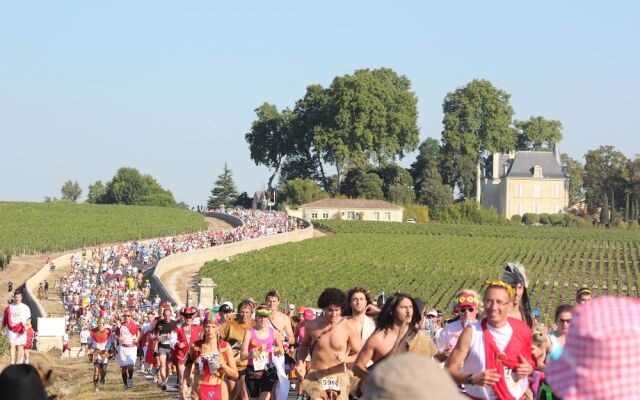 Logis Hotel Le Vignoble