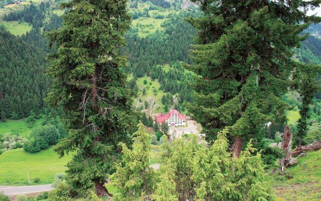 Green Valley Savsat