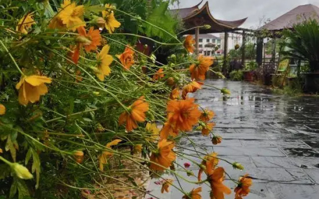 Fuchun Dalingtu Resort