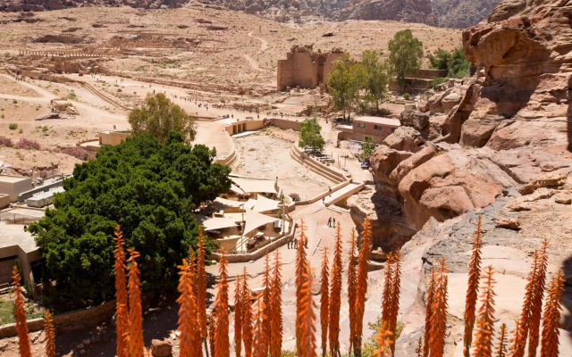 Petra Guest House