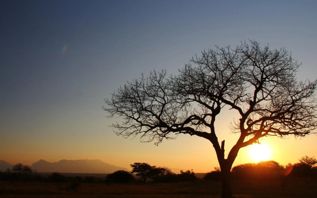 Thornhill Safari Lodge