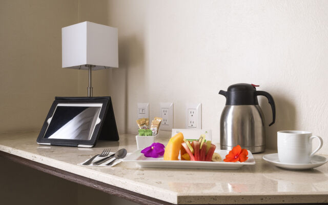 Holiday Inn Orizaba by IHG