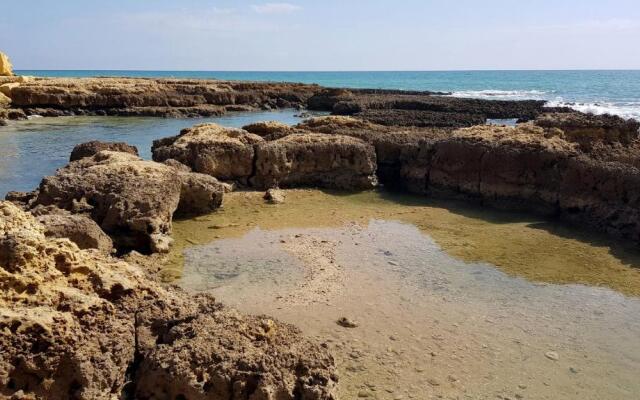 Cozy Garden T1 near the beach