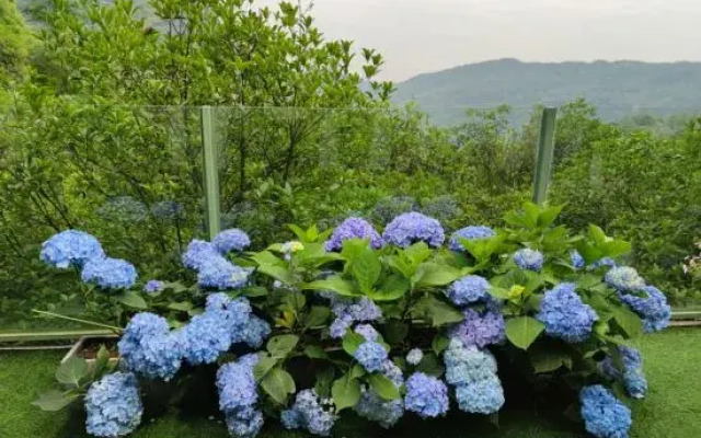 Yunyin Qingcheng Hot Spring Resort Hotel