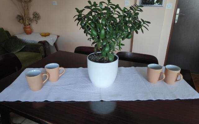 Apartment Viktorija