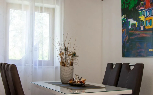 Authentic Dalmatian Treasure Homes