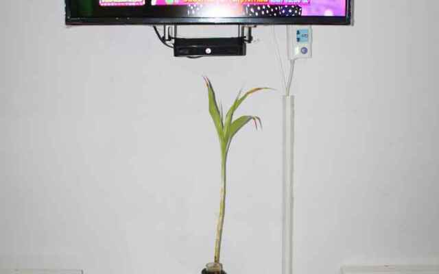 Sabaydee Home