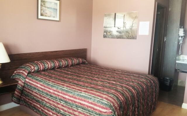 Lamplighter Viking Motel