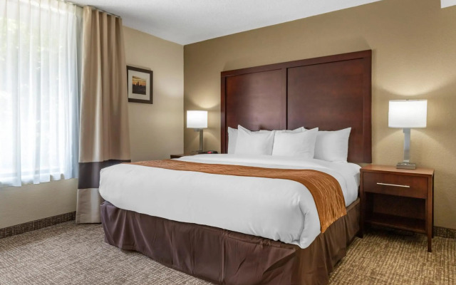 Comfort Inn Charlotte Airport Uptown