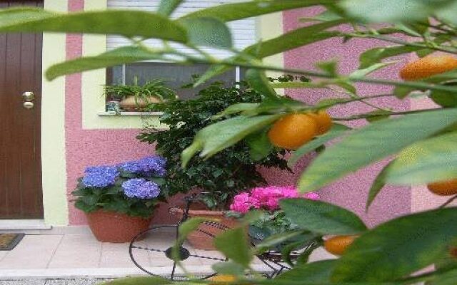 Ariedo Bed And Breakfast