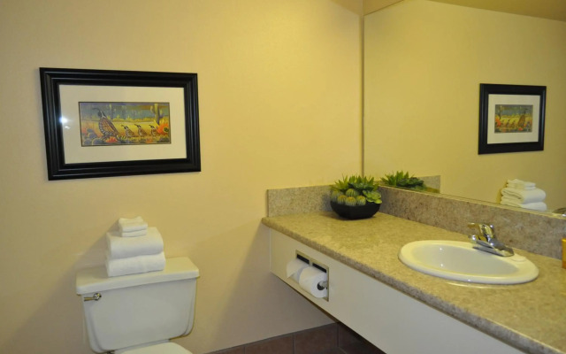 Avi Resort & Casino