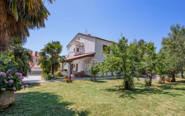 Apartment Olivo Novigrad (Istra) 22036