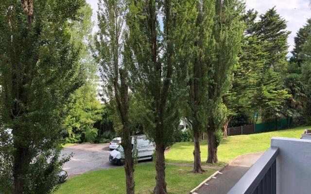 t4 MAGNOLIAS BAYONNE