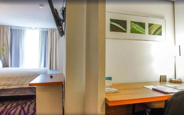 Springhill Suites by Marriott Savannah Midtown