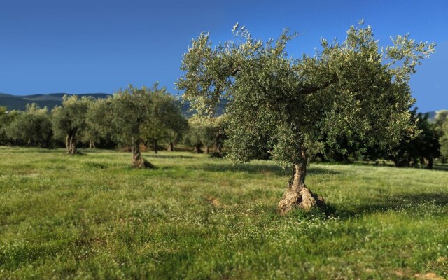 Al Corso Umberto I