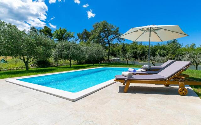 Pool Premium Apartment