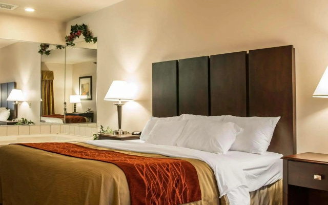 Comfort Inn & Suites Fenton
