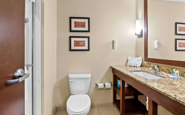 Comfort Inn & Suites West - Medical Center