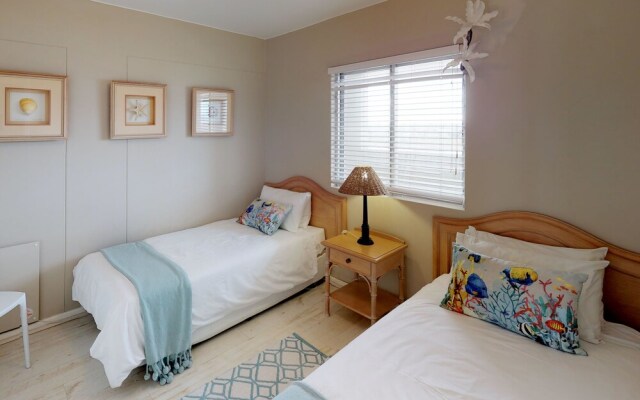 Dolphin Beachfront Condo