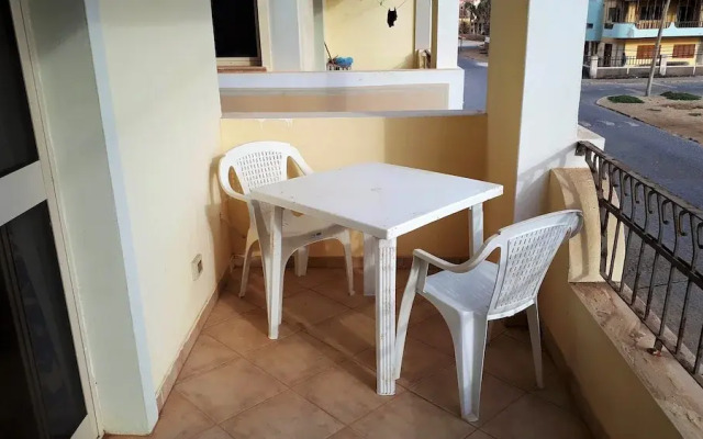 Oasis Palmeira