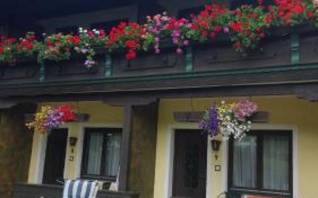 Alpen Appartement Hof