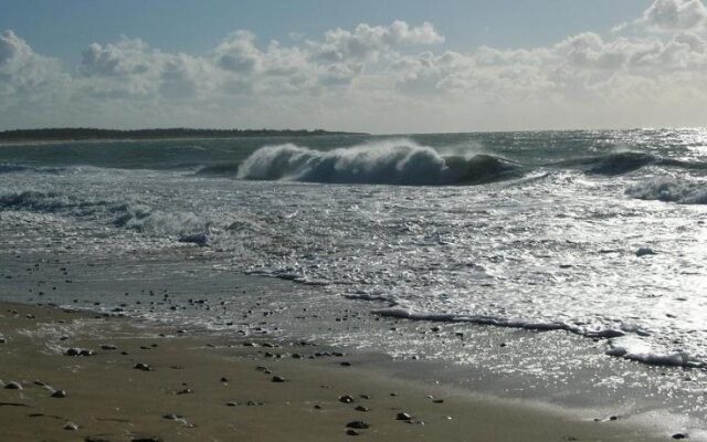 Hôtel De La Petite Plage