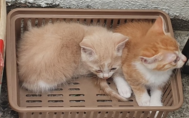 Haedoji Hotel Yangyang