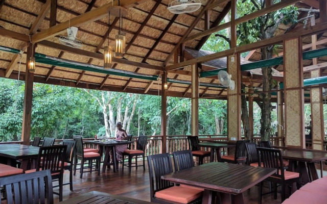 Our Jungle Camp - Eco Resort