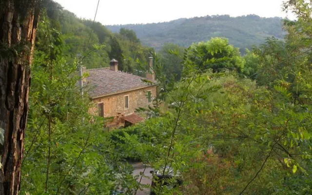 Podere Dell'Orso