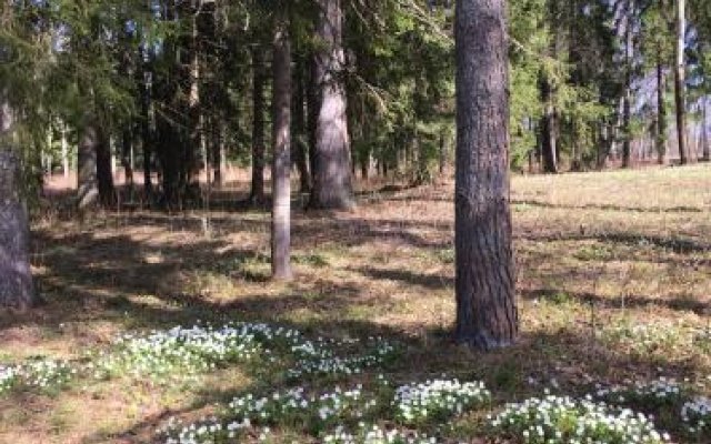 Загородный отель «Усадьба Малеевка»