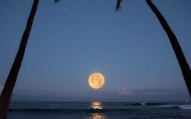 Hawaii's Hidden Hideaway Bed & Breakfast