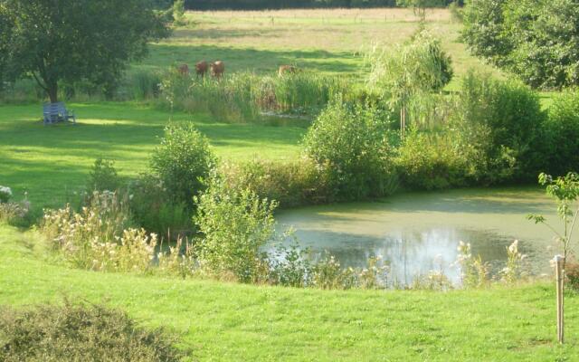 Lovely Holiday Home in Chimay with Terrace